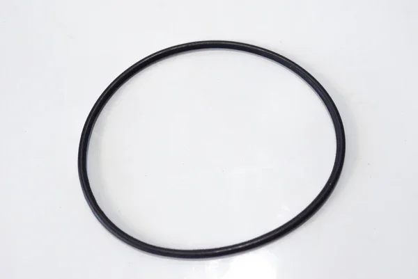 Professionale L4775595 - ANELLO O-RING POMPA ACQUA APE MP 601 CLASSIC