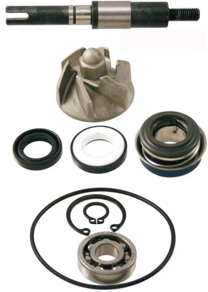 100110190 - KIT REVISIONE POMPA ACQUA SH 125-150 DAL 2009 AL 2012 Ordina Subito