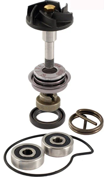 Compra Online 100110210 - Kit revisione pompa acqua Piaggio Beverly 250-300cc