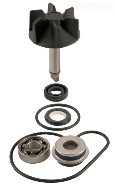 100110260 - KIT REVISIONE POMPA ACQUA BURGMAN 125-250-400 Quantità Limitata