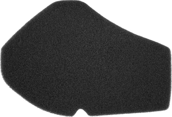 100601230 - FILTRO ARIA BURGMAN 125-150CC Compra Adesso