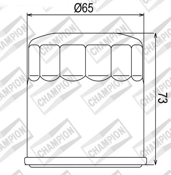 100609505 - Filtro Olio Champion COF203 Honda Cbr 1000 Non Perdere