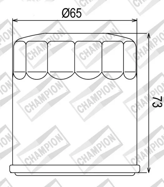 100609745 - FILTRO OLIO COF077 PER BUELL 500 900 1200 Saldi