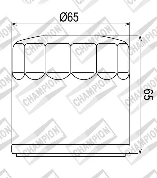 Offerta Limitata 100609795 - FILTRO OLIO COF454 Mv Agusta f4 750-1000cc