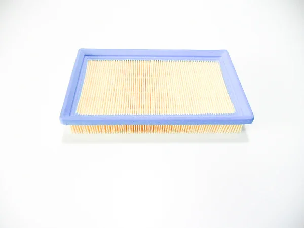 264276 - FILTRO ARIA 1100 CALIFORNIA - V11 Promo Stagionale