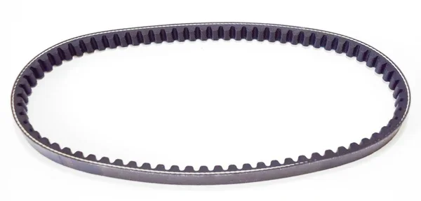273714 - CINGHIA BANDO ELYSEO 50 1999>2003 Compra Adesso