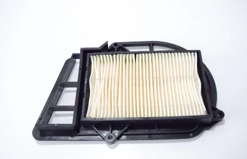 Compra Oggi Stesso 5604048 - FILTRO ARIA CARTER X-MAX/MAJESTY