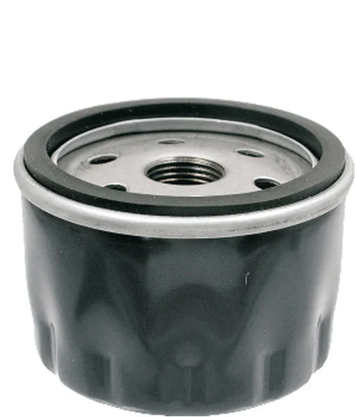 100609070 - FILTRO OLIO PIAGGIO X9 500CC Must-Have