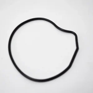 00129024 - O-RING POMPA ACQUA XCITING 500 05 E 09 Prezzo Conveniente