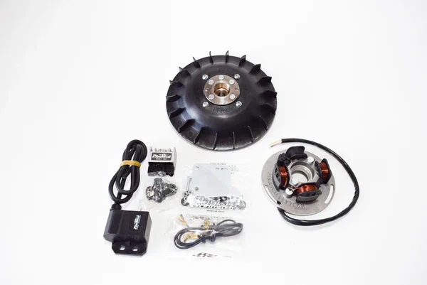 Miglior Prezzo 25356838 - KIT ACCENSIONE PINASCO PIAGGIO VESPA 125/150 VNB D.17 KG 1.6