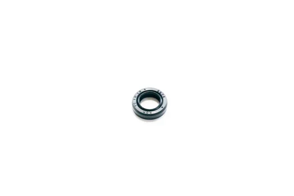 Offerta Limitata 00181 - PARAOLIO 10X16X4 RP DOPPIO LABBRO
