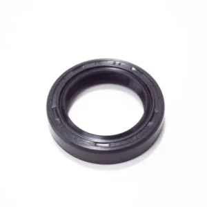 00530 - PARAOLIO 15X24X5 RP DOPPIO LABBRO Spedizione Espresso