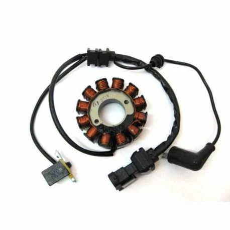 Vendita Finale Statore 12 Poli Piaggio Liberty 4T 3V Lem 150 2013-2014