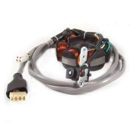 Statore a 5 bobine Piaggio Hexagon Liberty Vespa ET4 125 1996 2000 Prezzo Conveniente