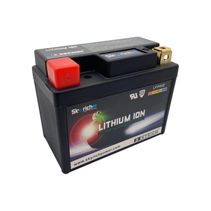 Batteria al Litio Skyrich LFP02Z 12.8V-2.4AH Offerta