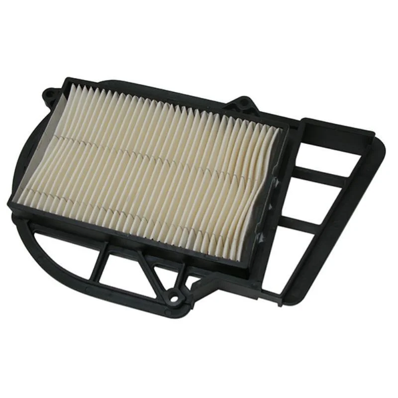 Filtro Aria Miw Carter Mot.Majesty250 A Buon Prezzo