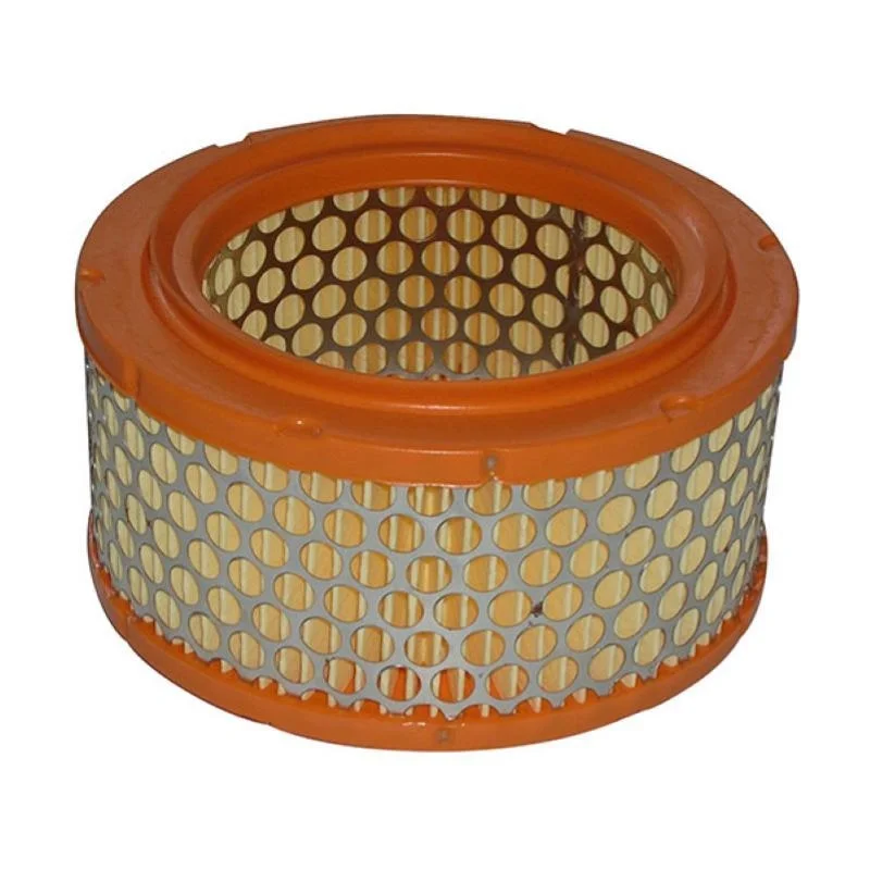 Consegna Rapida Filtro Aria Miw Ducati Gtv - Lombardini