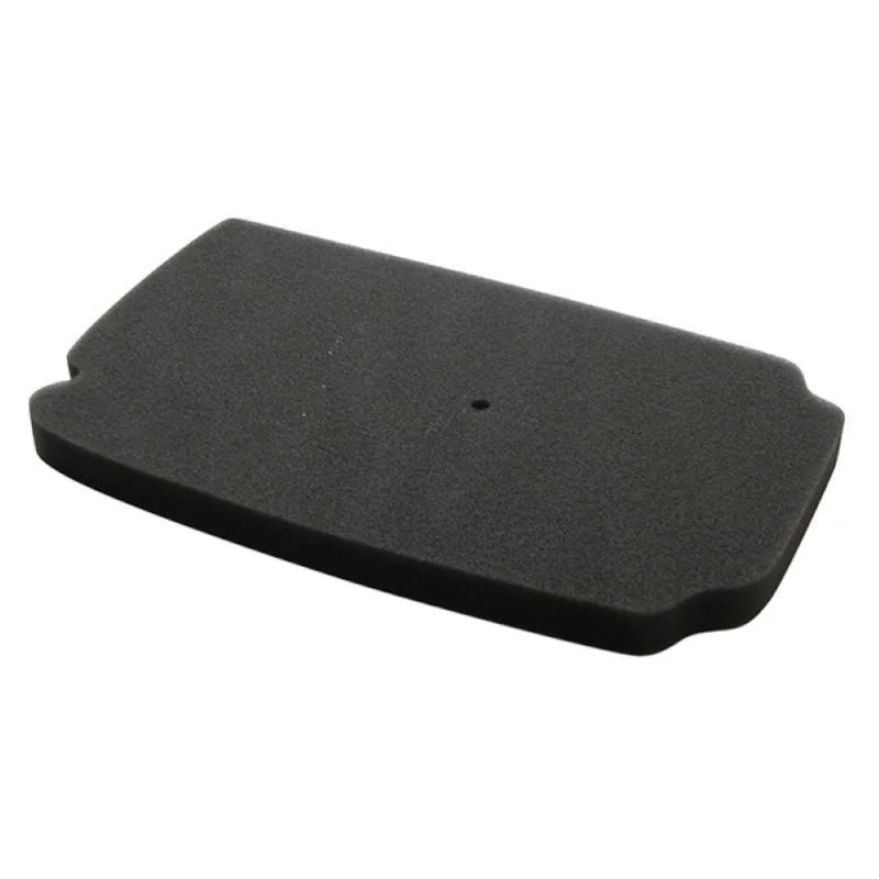 Filtro Aria Miw Honda Bali 50/100 Non Perdere