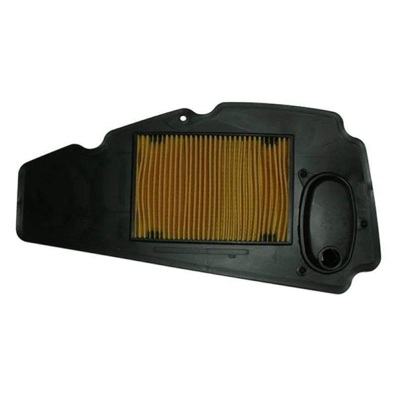 Consegna Rapida Filtro Aria Miw Honda Forza 250 X/Ex