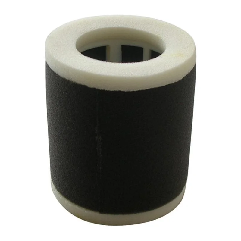 Pagamento Sicuro Filtro Aria Miw Kawasaki En500A1