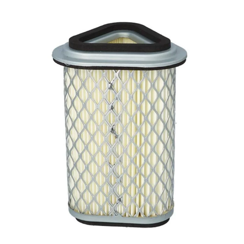 Filtro Aria Miw Royal Enfield Continental Gt 650-Interceptor 650 Promo Stagionale
