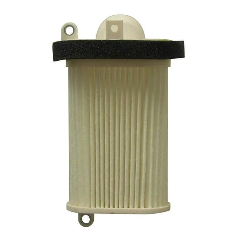 Pagamento Sicuro Filtro Aria Miw Sx Carter T-Max 500
