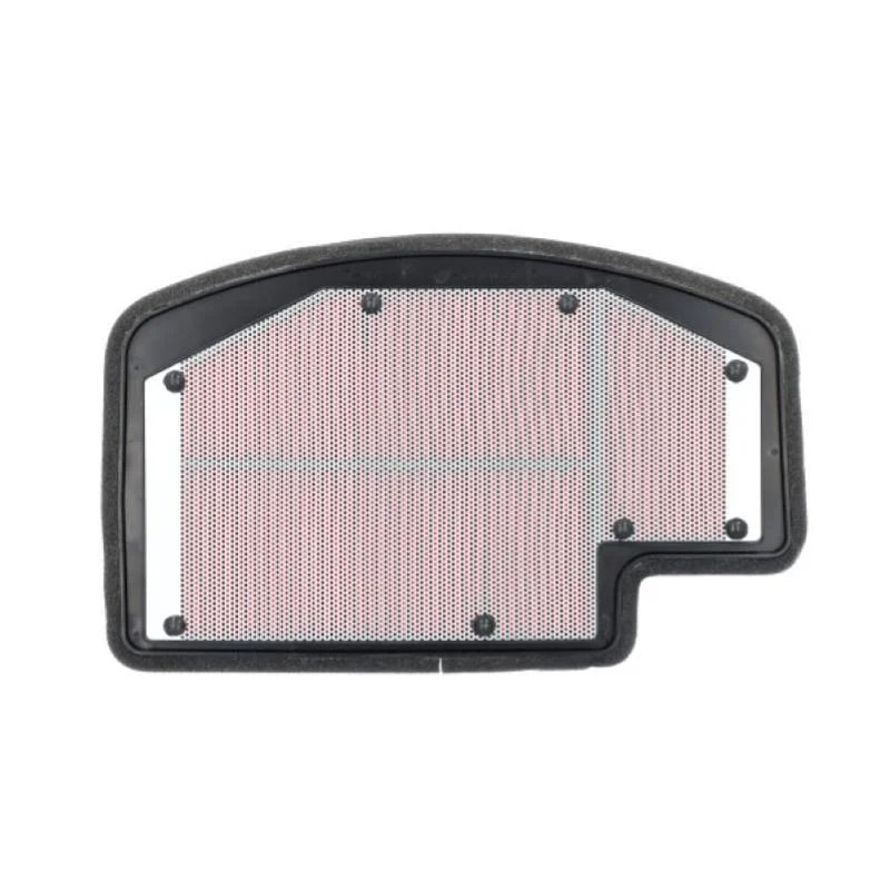Filtro Aria Miw Triumph 1200 Speed Triple Rs/Rr Acquista Ora