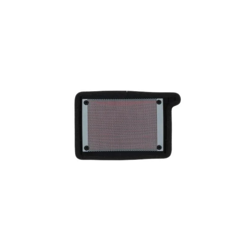 Filtro Aria Miw Triumph 660 Trident (21/22) - 660 Tiger Sport Popolare