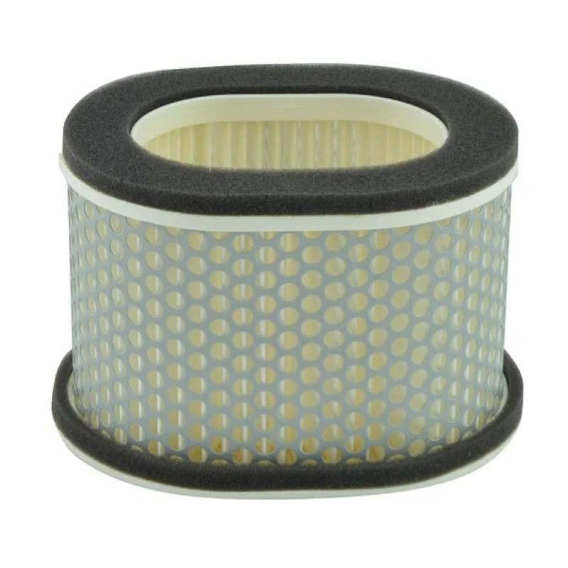 Compra Oggi Stesso Filtro Aria Miw Yamaha Fzr600R- Xj750